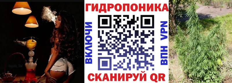 дарнет шоп  Владимир  Шишки марихуана AK-47 